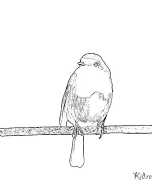 Turai robin Shafukan Masu Launi Da Ake Bugawa